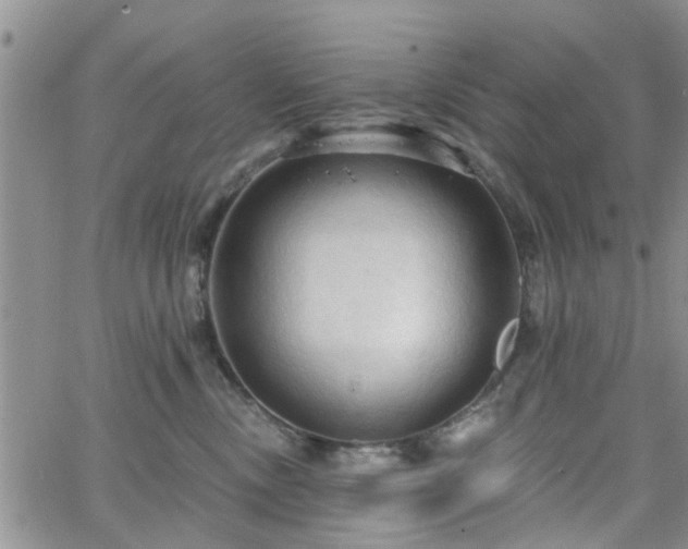 X0000063480378200601231353