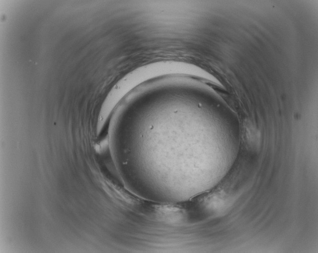 X0000063480380200601231353