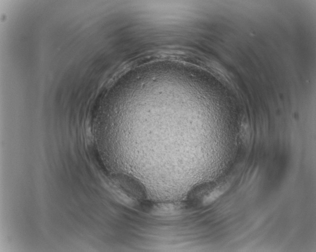 X0000063480381200601231353