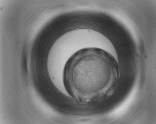 X0000063480382200601231353