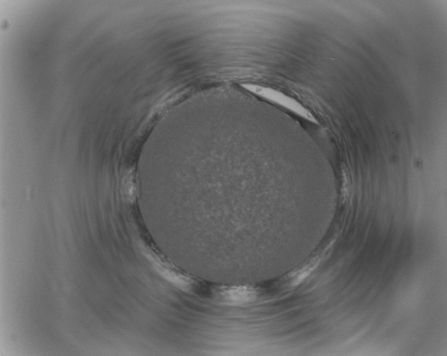 X0000063480383200601231353