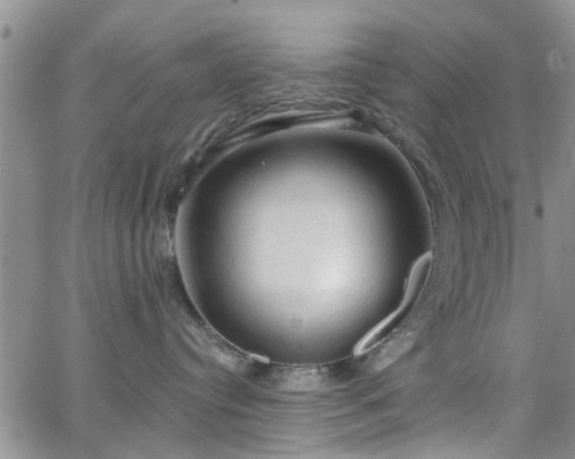 X0000063480384200601231353