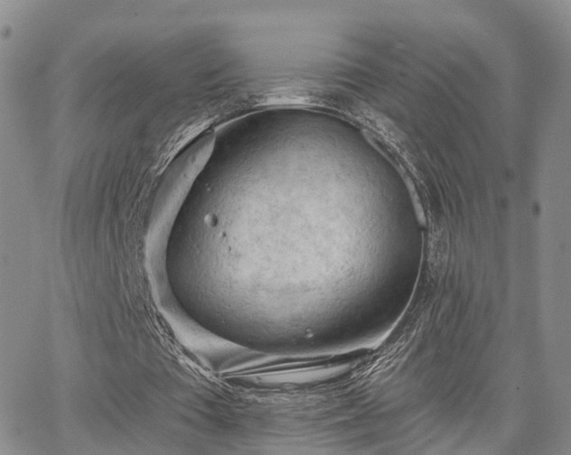 X0000063480385200601231352