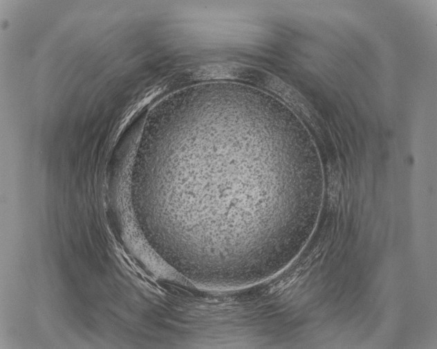 X0000063480386200601231352