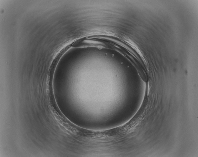 X0000063480387200601231352