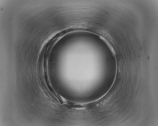 X0000063480388200601231352