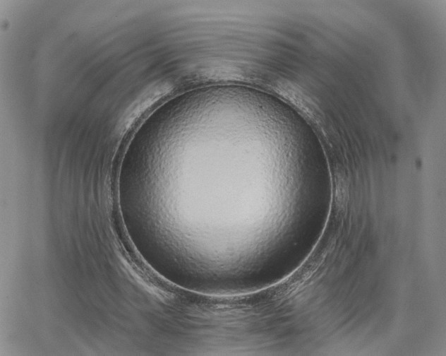 X0000063480390200601231352