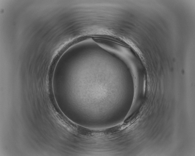 X0000063480391200601231352