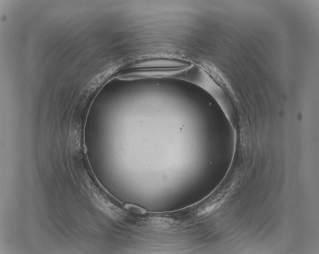 X0000063480393200601231352