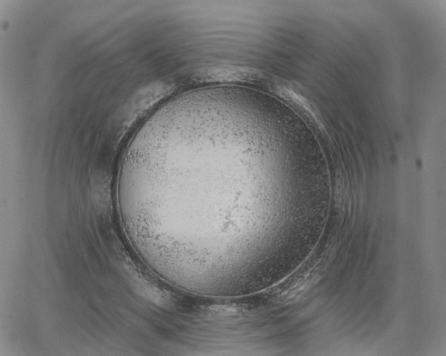 X0000063480394200601231352