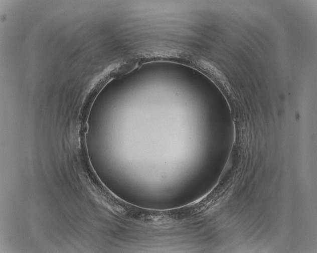 X0000063480395200601231352