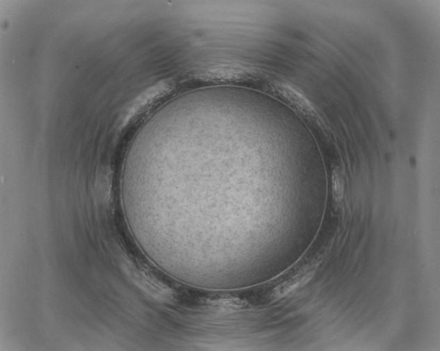 X0000063480396200601231352