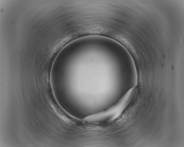 X0000063480397200601231352