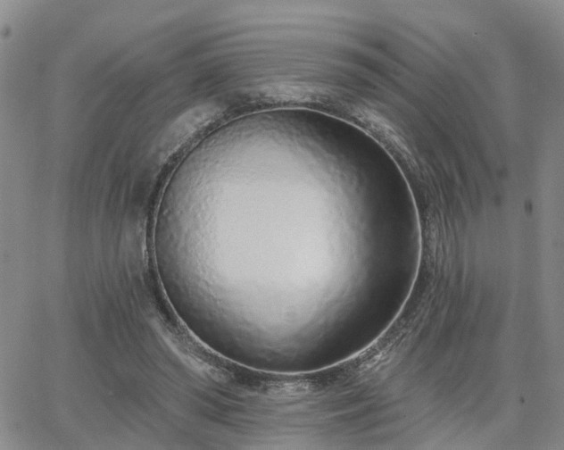 X0000063480398200601231352