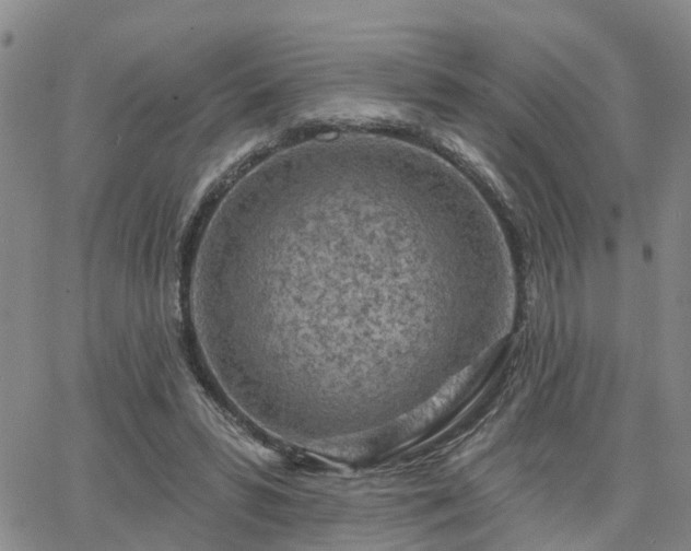 X0000063480399200601231352