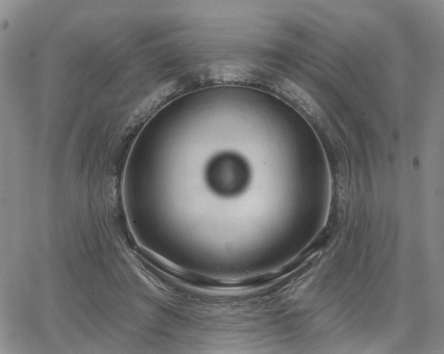 X0000063480401200601231352