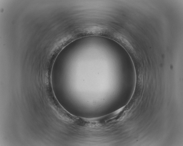 X0000063480403200601231352