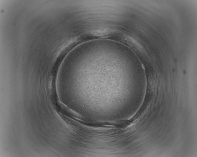 X0000063480404200601231352