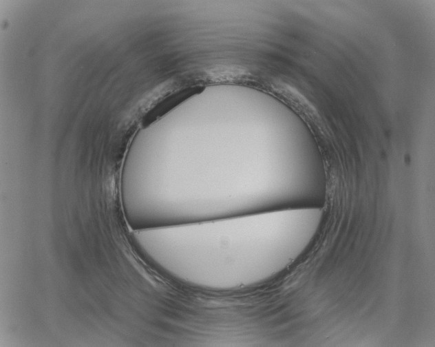 X0000063480405200601231352