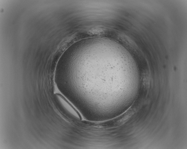 X0000063480408200601231352