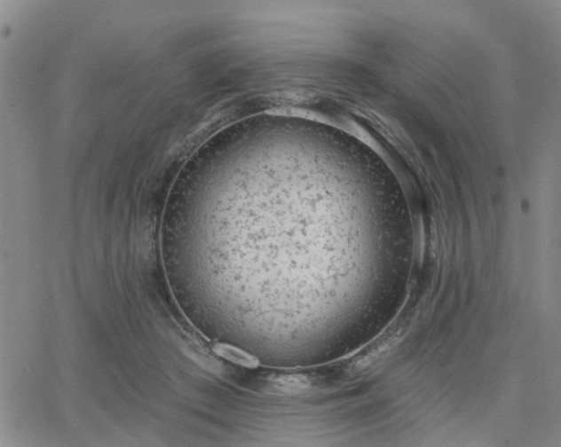 X0000063480409200601231352