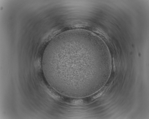 X0000063480410200601231352