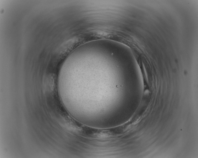 X0000063480412200601231352