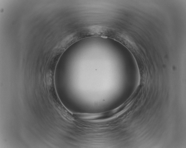 X0000063480413200601231352