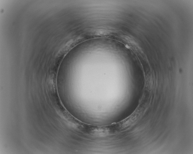 X0000063480415200601231352