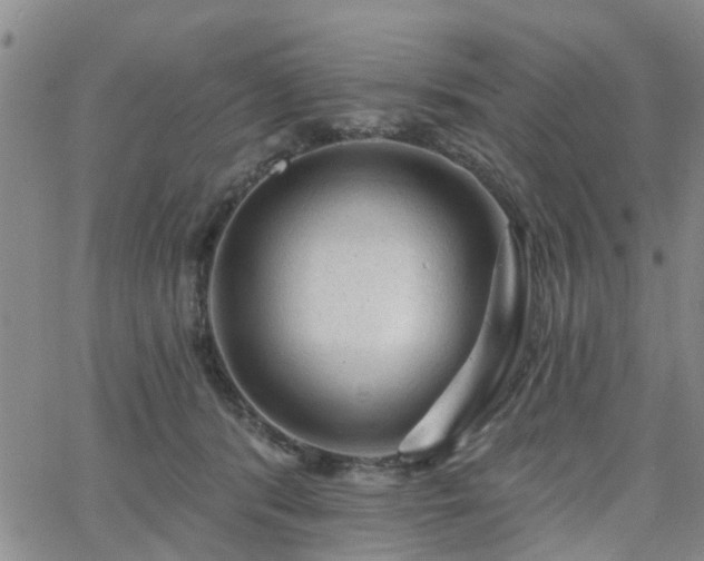 X0000063480416200601231352