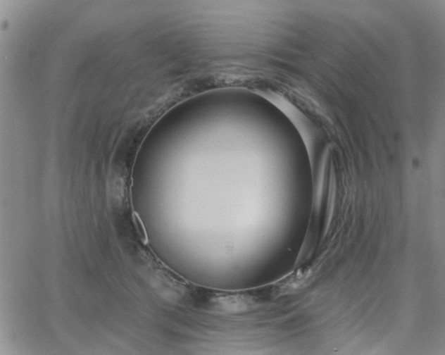 X0000063480417200601231352