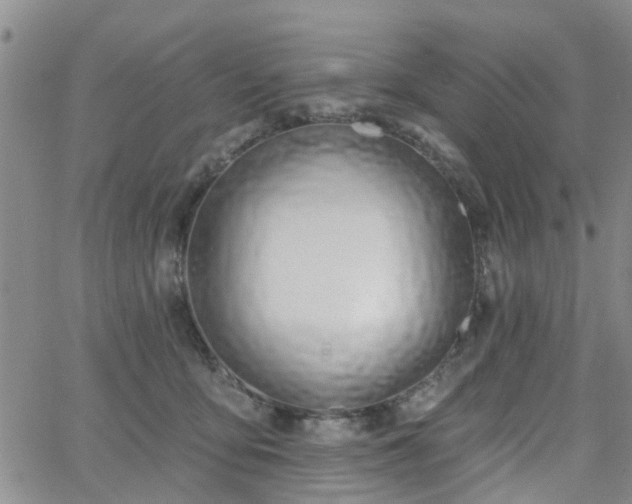 X0000063480419200601231352