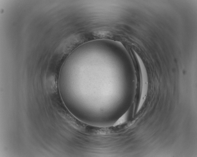 X0000063480420200601231352