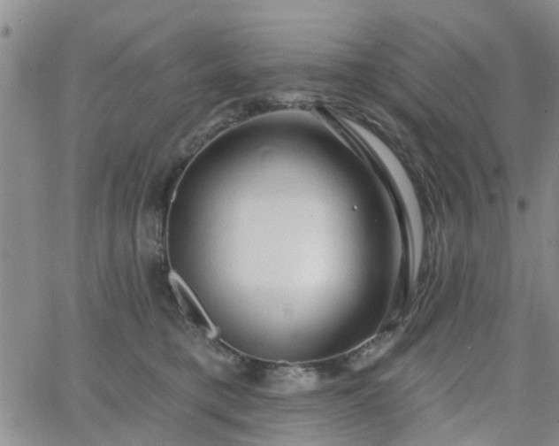 X0000063480421200601231352