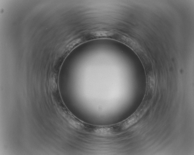 X0000063480422200601231352