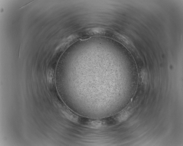 X0000063480423200601231352