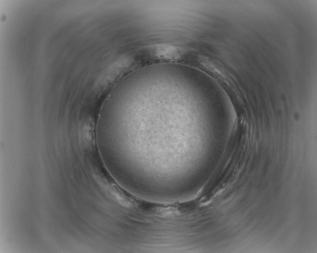 X0000063480424200601231352