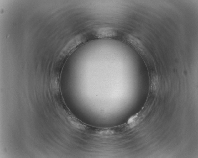 X0000063480426200601231351