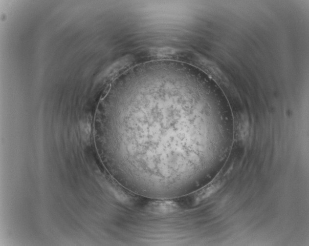 X0000063480427200601231351