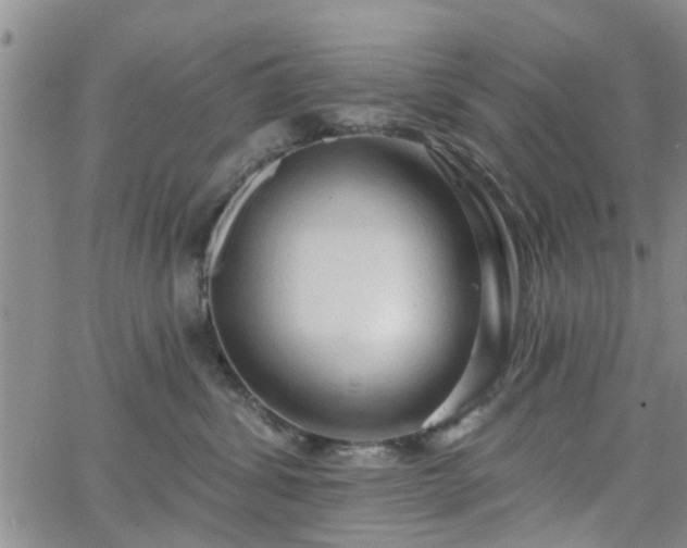 X0000063480428200601231351