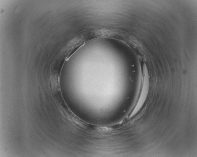 X0000063480429200601231351