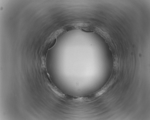 X0000063480430200601231351