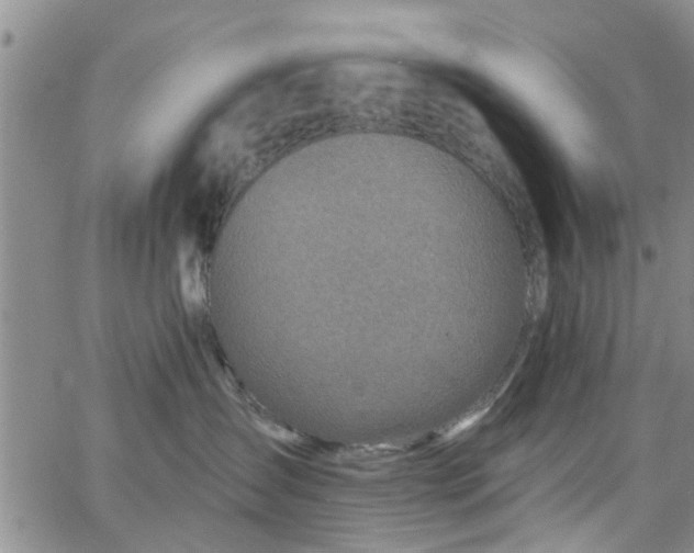 X0000063480431200601231351