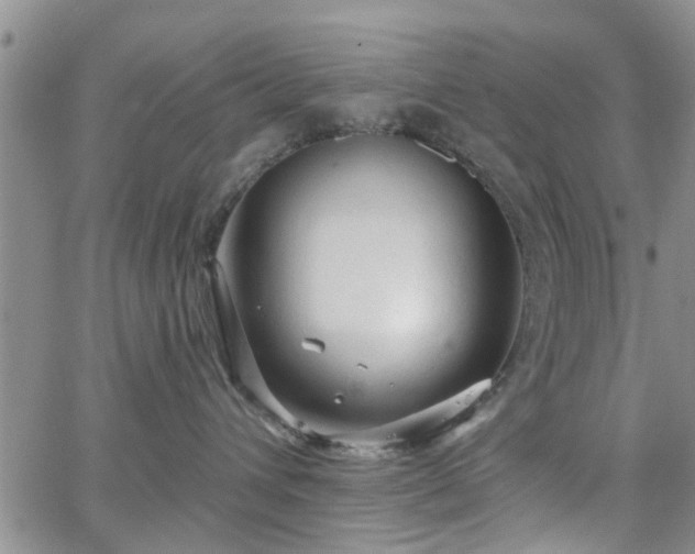 X0000063480432200601231351