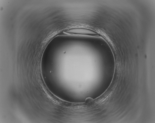 X0000063480433200601231351