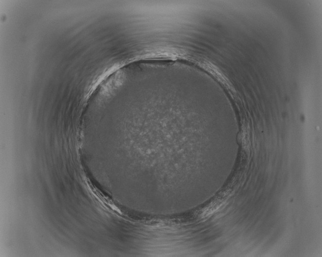 X0000063480434200601231351