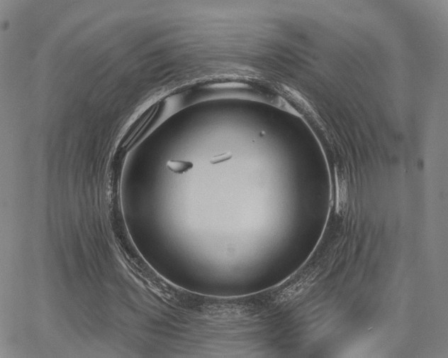 X0000063480435200601231351