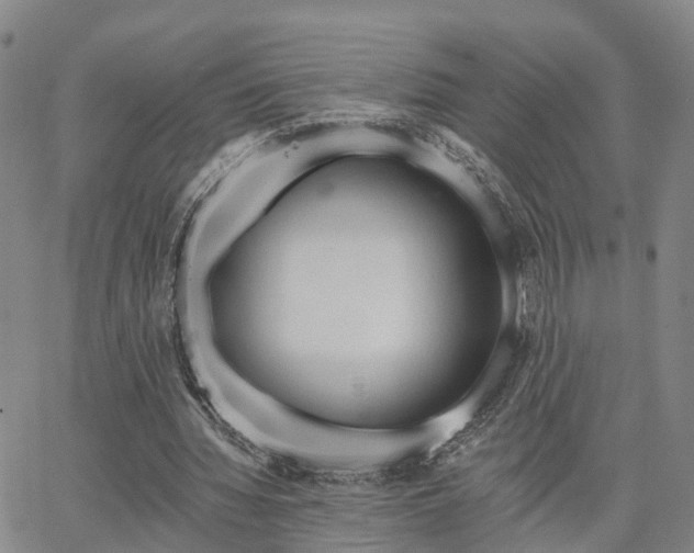 X0000063480436200601231351