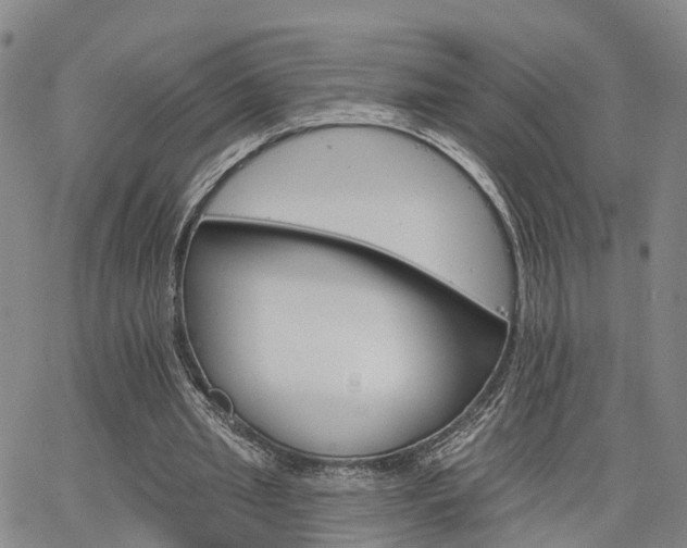 X0000063480437200601231351