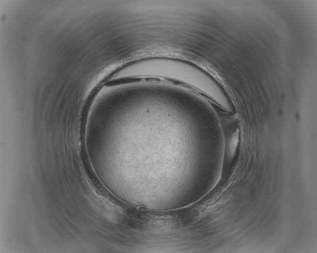 X0000063480438200601231351